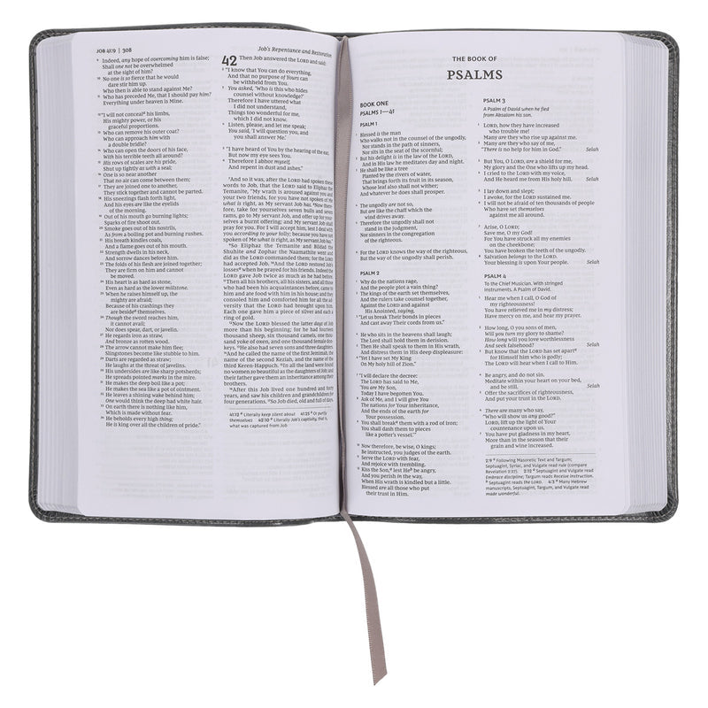 NKJV Deluxe Gift Bible Red Letter Gray (Imitation Leather)
