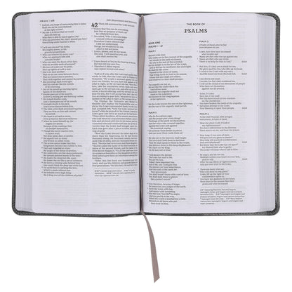 NKJV Deluxe Gift Bible Red Letter Gray (Imitation Leather)