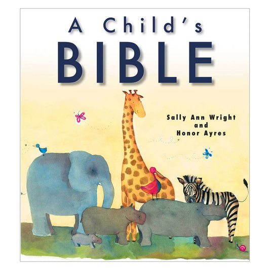 A Child’s Bible (Paperback)